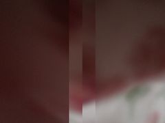 -永記粤菜·五指毛桃花雕鸡煲(九亭店)