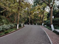 -北极阁公园