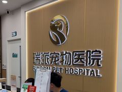 -瑞派康怡24h宠物医院·犬猫医疗中心·微创绝育(瑞景分院)