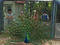 -长白岛森林公园