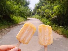 -北京西山国家森林公园