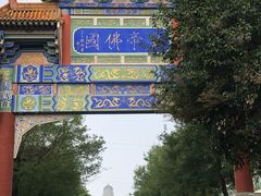 -法门文化景区