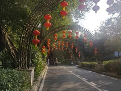-大屏嶂森林公园