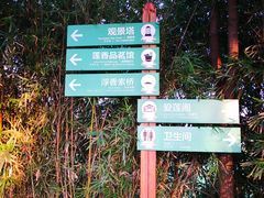 -荷塘月色湿地公园·向阳花洲
