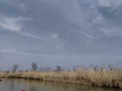 -泗洪洪泽湖湿地景区