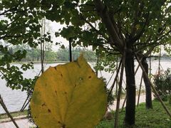 -南国桃园旅游度假区