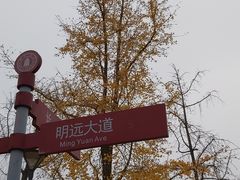 -四川大学(江安校区)