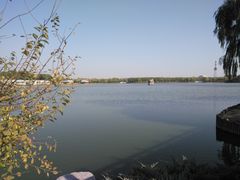 -大兴滨河森林公园