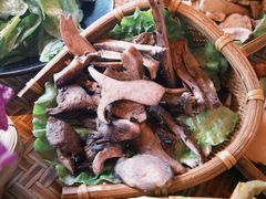 -滇野云南野生菌餐厅(陕西南路店)