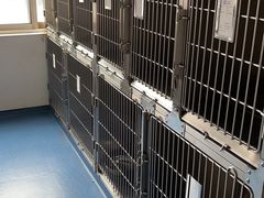 -宠颐生动物医院·小陆分院