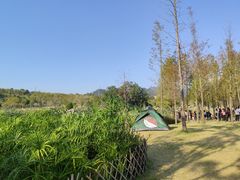 -牛岗山公园
