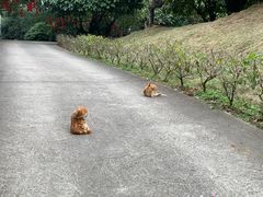 -白云山风景名胜区