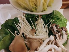 -九鼎轩脆毛肚火锅(三钢里店)
