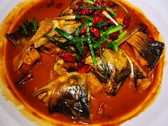 -鸽子侯·家宴·平价海鲜(市图书馆店)