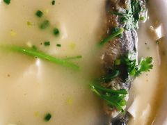 鲫鱼豆腐汤-隐居家宴