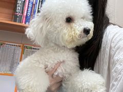 -创凡宠物医院·骨专科  猫科中心(西乡分院)