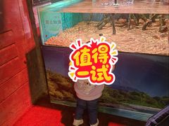 -合肥海洋世界