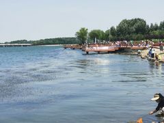 -丁香湖公园