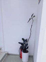 -蒋伟时尚造型