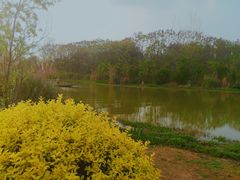 -白鹭湾湿地公园