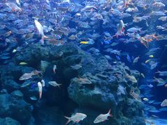 -成都浩海立方海洋公园