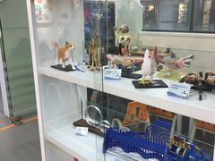 -斯坦星球AI编程·机器人科创·科学实验·信奥·思维·STEM·积木拼搭·竞赛考级(长宁虹桥大融城荟聚中心)