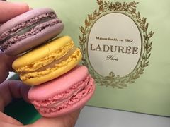 -ladurée(戴高乐机场T 2F店)