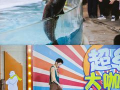 -南昌海洋公园