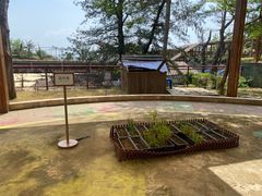 -格力东澳大酒店-蓝色海岸餐厅