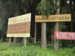 -武陵山森林公园