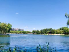 景点-陶然亭公园