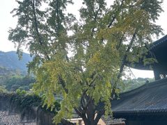 -大罗山风景区