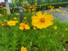 -白塘生态植物园