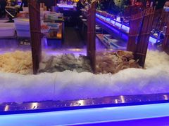 -九月海·海鲜自助(世纪东方店)