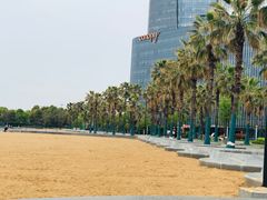 -金沙湖公园