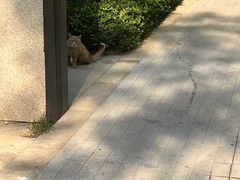 -王府井(地铁站)