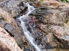 -广州白江湖森林公园