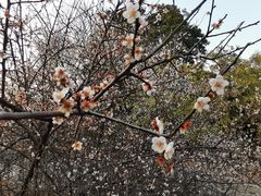 -水濂山水库景点停车场