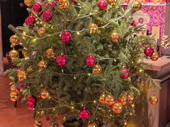 -Mammamia意大利餐厅(阳春巷店)