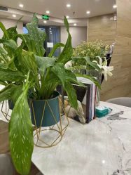 -酉嘉瑜伽YO+YOGA