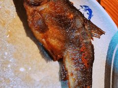 香辣武当岩鱼-丹江渔村(望京店)