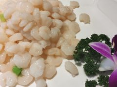 清炒河虾仁-花园茶楼(兴城西路店)