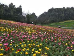 -保利石象湖景区
