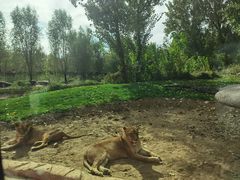 -北京野生动物园