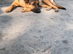 -中国人民抗日战争纪念馆