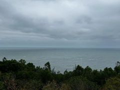 -广东惠东海龟国家级自然保护区
