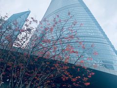 -花园5號餐厅