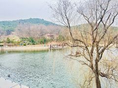 -北岭山森林公园