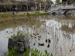 -惠州西湖风景名胜区-丰渚园