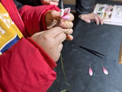 -南京市民俗博物馆(甘熙宅第)